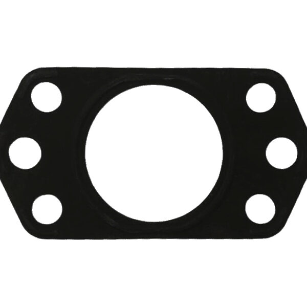 Guarnizione marmitta per motore VM SUN a due fori 22022061F