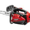 Motosega a scoppio per potatura CSP 280TC Blue Bird