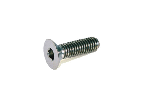 Vite a brugola M 10x30 UNI 5933 per trattori Antonio Carraro