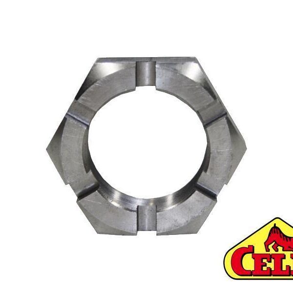 Dado a corona Celli codice 004006