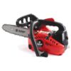 Motosega Blue Bird CS250 per potatura barra standard 25cm