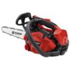 Motosega Blue Bird CSP270TC per potatura barra carving 25cm