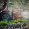 Fresa maschio modello W zappatrice leggera con spostamento laterale manuale