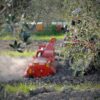 Fresa maschio modello W zappatrice leggera con spostamento laterale manuale